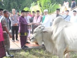 Pj Bupati Boalemo Sherman Serahkan Hewan Untuk Di Sembelih