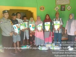 POLSEK BOTUMOITO KAWAL PENYALURAN BENIH JAGUNG DI TIGA DESA, KAPOLSEK: KAMI TURUNKAN BHABIN UNTUK PENGAWASAN