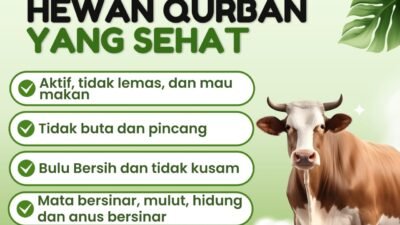 Jelang Idul Adha, dr. Zubaidah Ali Rauf Imbau Warga Pilih Hewan Qurban yang Sehat