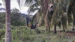 Mengaku Dibekingi Aparat, Aktivitas Penambangan Halid Kamumu di Desa Sambati Diduga Kebal Hukum