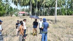 Dorong Ekonomi Petani, Wabup Boalemo Pantau Lahan Durian di Botumoito