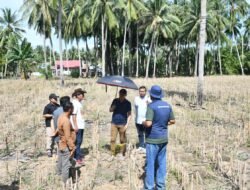 Dorong Ekonomi Petani, Wabup Boalemo Pantau Lahan Durian di Botumoito