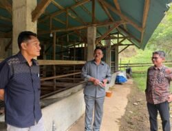 Dari Kunjungan Jadi Gerakan: Rum Pagau Dorong Revolusi Peternakan Daerah