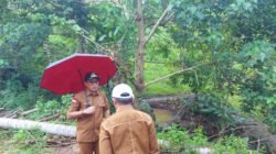 Banjir Jadi Perhatian, Wabup Boalemo Tinjau Langsung Lokasi Embung