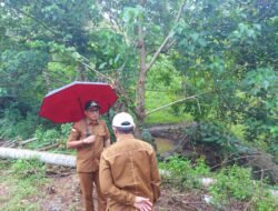 Banjir Jadi Perhatian, Wabup Boalemo Tinjau Langsung Lokasi Embung