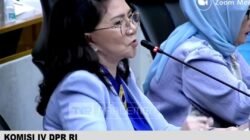 DPR Soroti Lemahnya Pengawasan, Tambang Ilegal Harus Ditutup