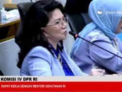 DPR Soroti Lemahnya Pengawasan, Tambang Ilegal Harus Ditutup