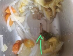 MBG di Tilamuta, Boalemo Dikeluhkan, Orang Tua Siswa Temukan Makanan Diduga Berulat